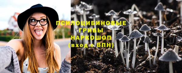 молекула духа Верея