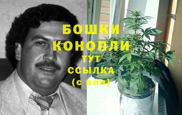 молекула духа Верея
