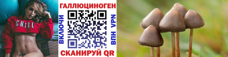 Псилоцибиновые грибы MAGIC MUSHROOMS  Братск 